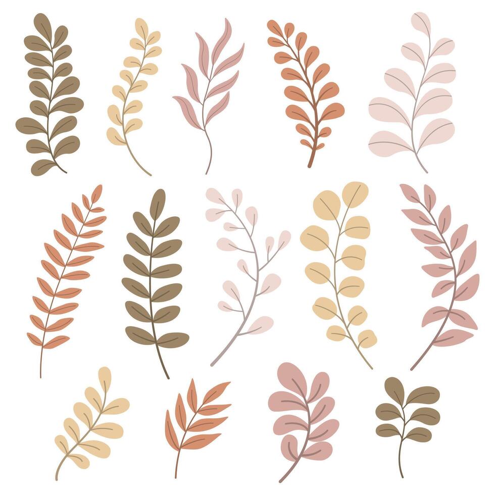 Hand draw leaf for design. Set of leaves. vector