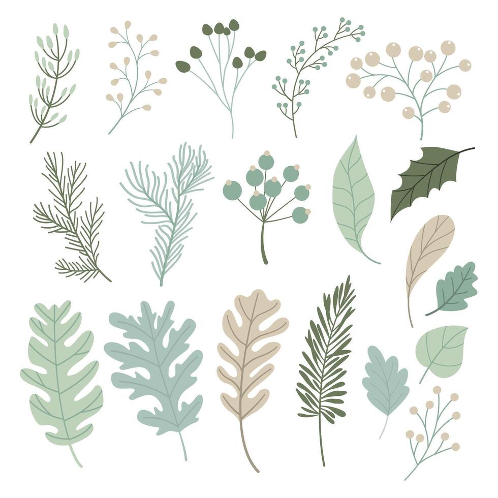 Set of Hand drawn leaves shape. The elegant the template for design vector