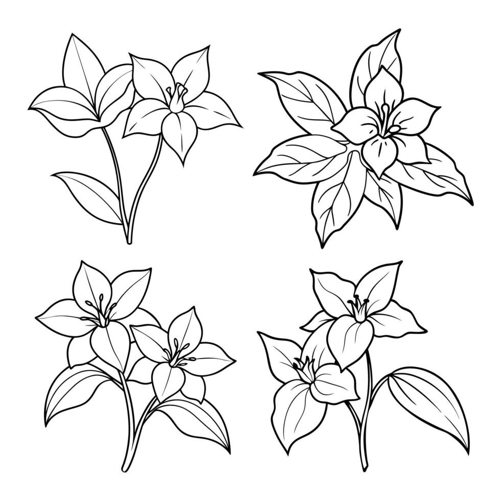 Trillium flower outline coloring book page line art drawing for