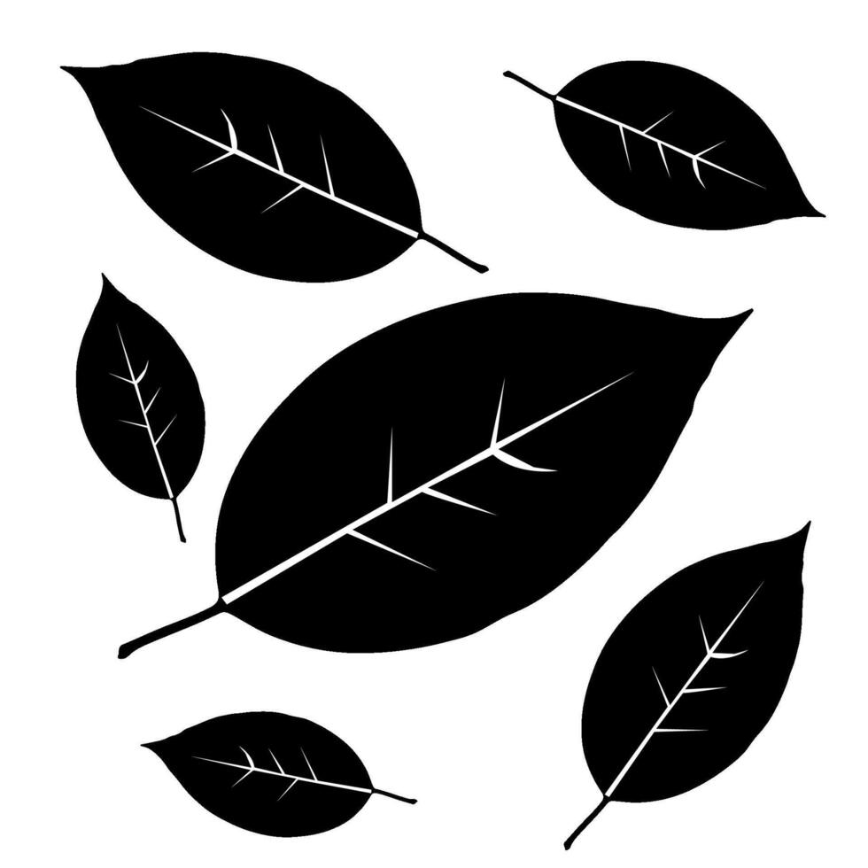 leaf nature silhouette vector