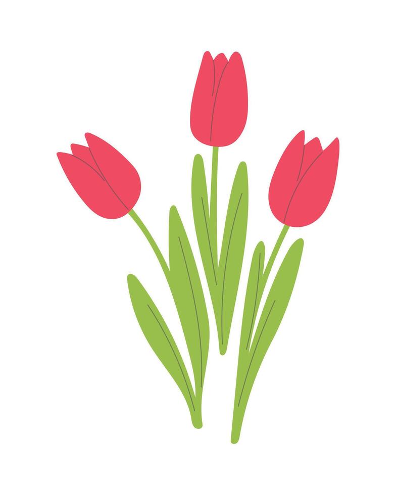 Bouquet of tulips with leaves. Cut flowers, simple hand drawn flowers. Spring holiday design element, plants, flora. Flat isolated illustration on white background vector