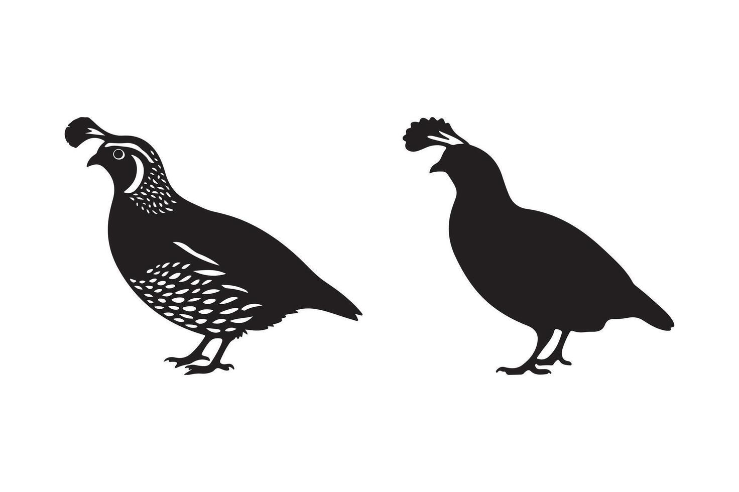 Quail Bird Silhouette Illustration vector