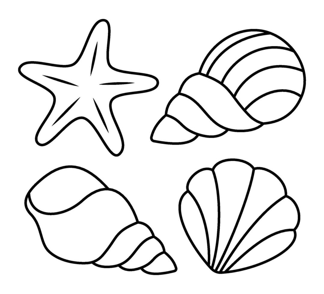 Set of sea shells. Outline Doodle illustration for colouring pages. Editable Stroke. Ocean and sea. Sketches of various mollusks sea shells in different shapes. vector