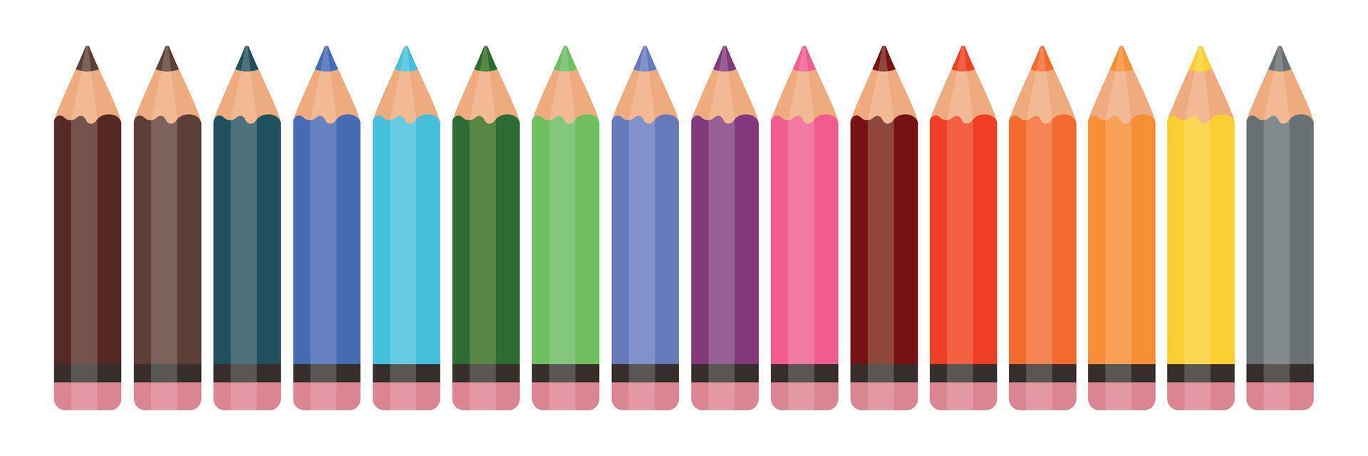 Set of coloured pencils with rubber bands. 16 bright colours. Back to school. Office supplies. Art supplies. vector