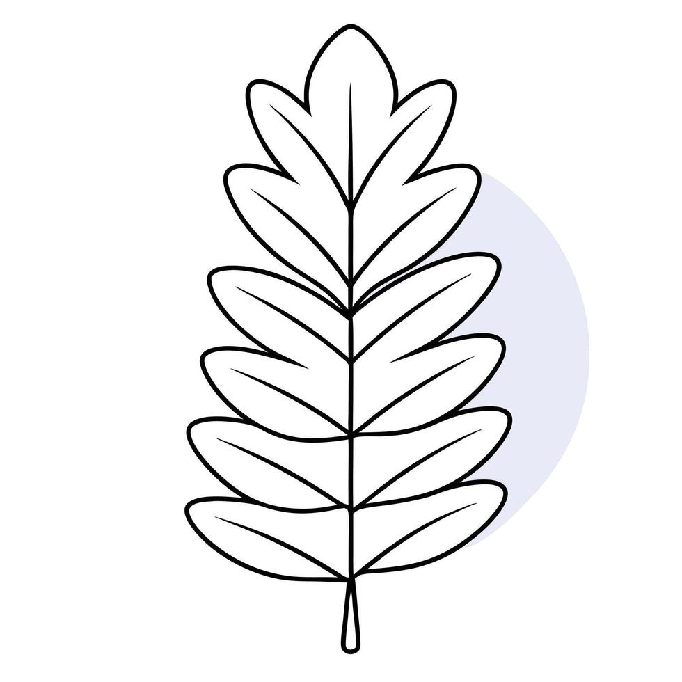 A leaf outline on a white background vector
