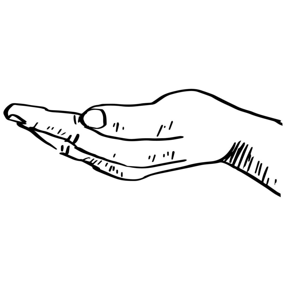 Hand gestures. Palm up. Outline silhouette. vector
