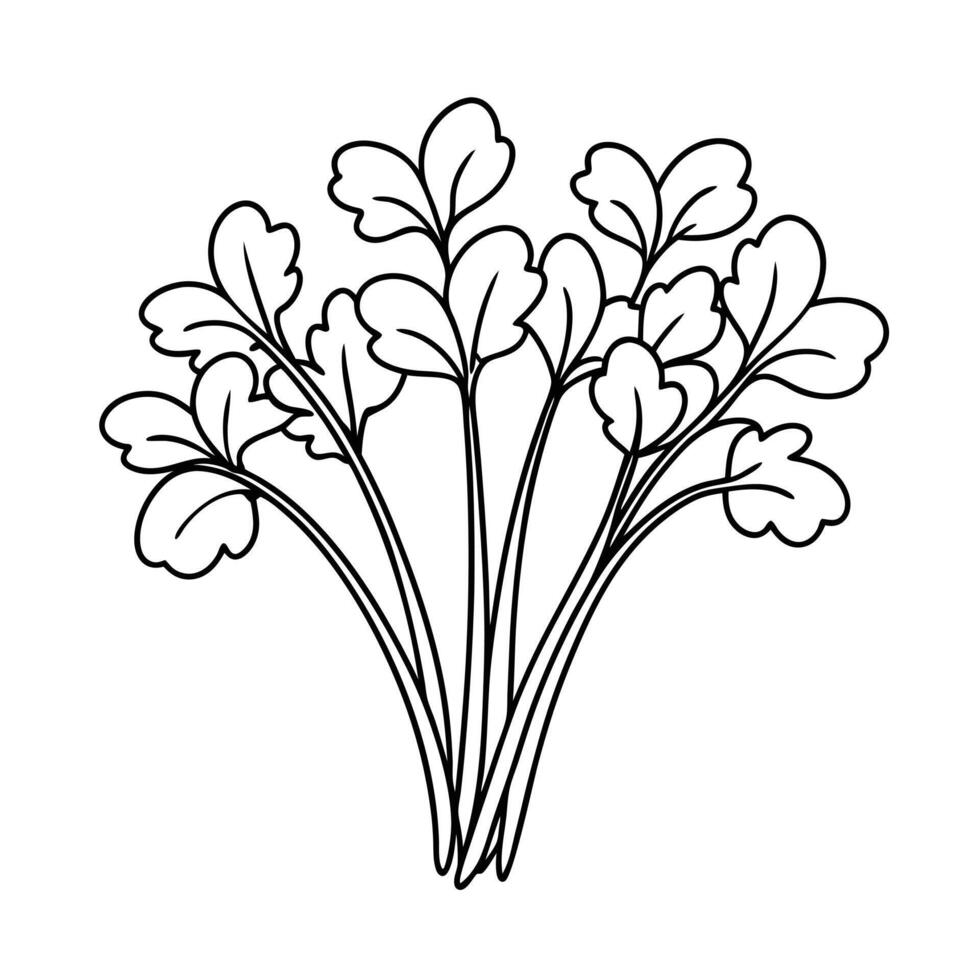 Vegetable coloring page vector