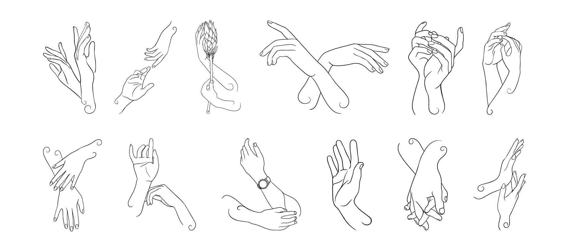 Line art drawing of hands in various positions, ideal for beauty, fashion and jewelry projects vector