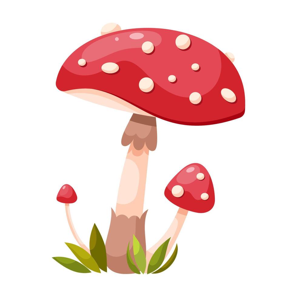 Fly agaric mushroom vector