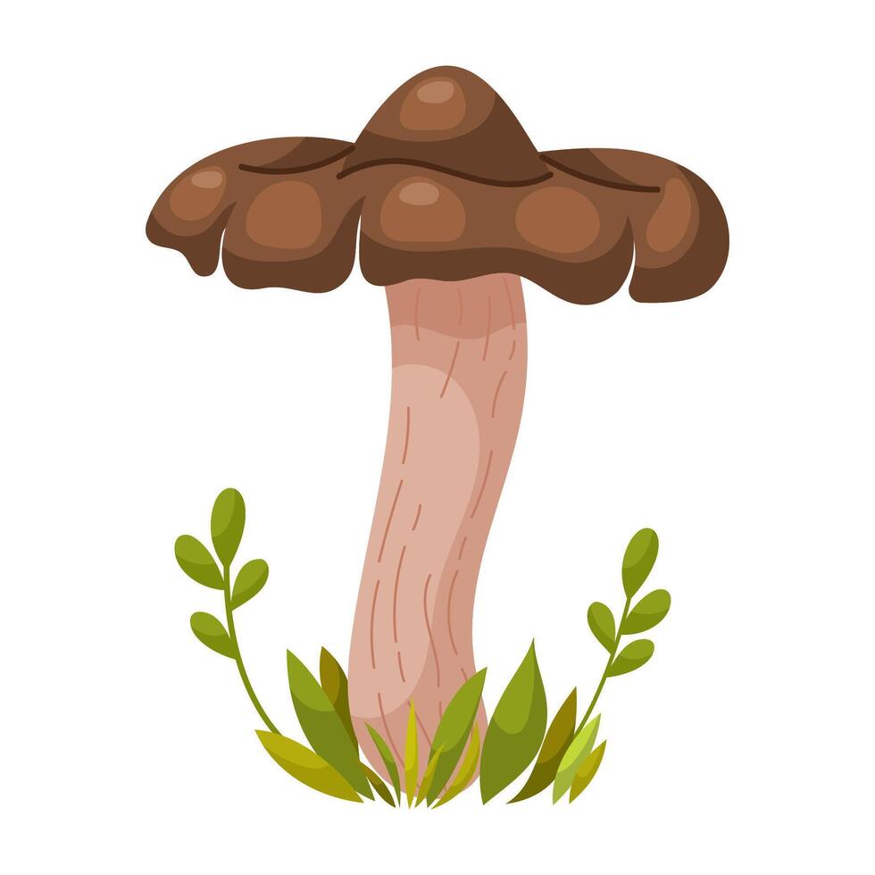 Entoloma clypeatum mushroom vector