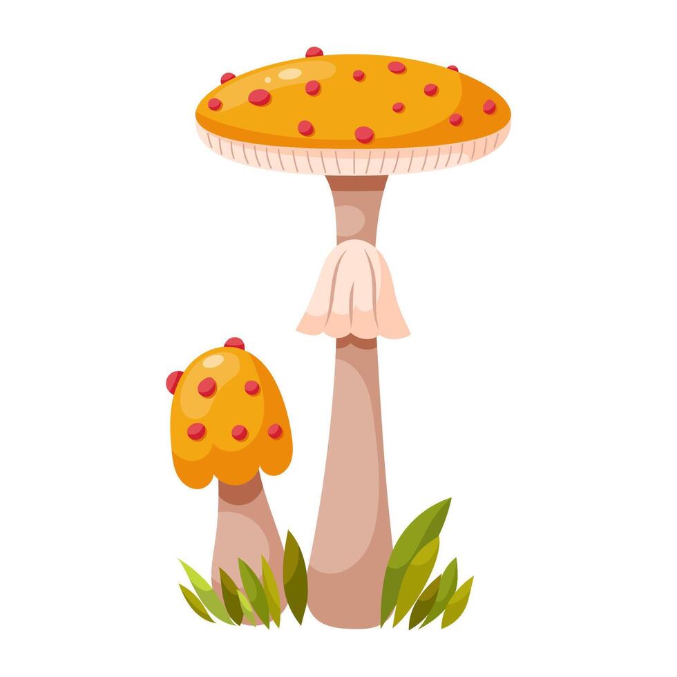 Amanita phalloides mushroom vector