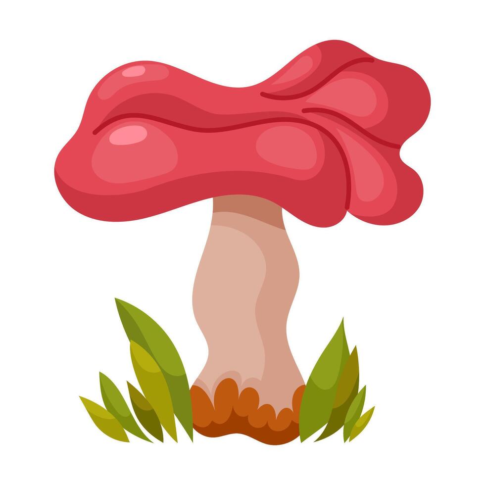 Russula emetica mushroom vector