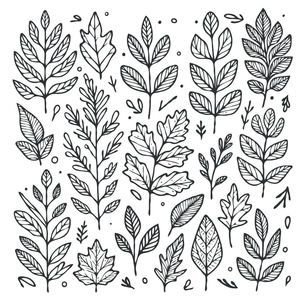 illustration of hand drawn leaves vector