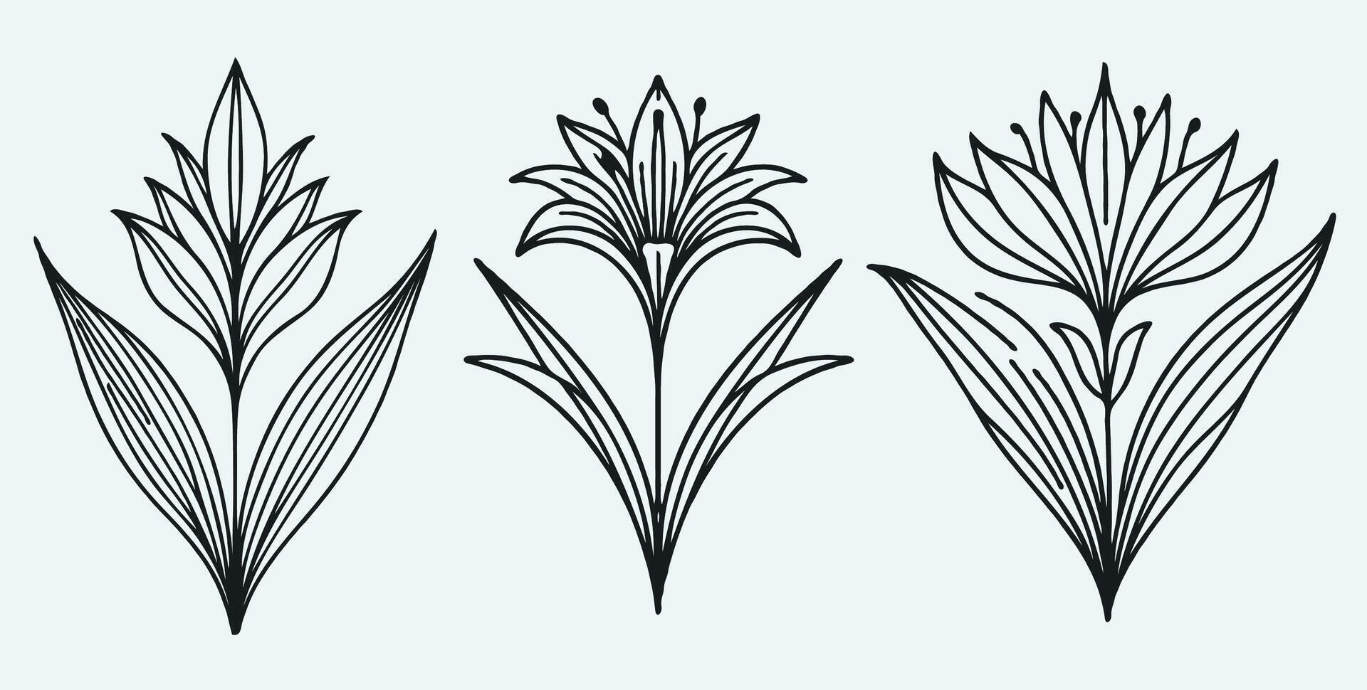 Three different types of flowers in black and white vector