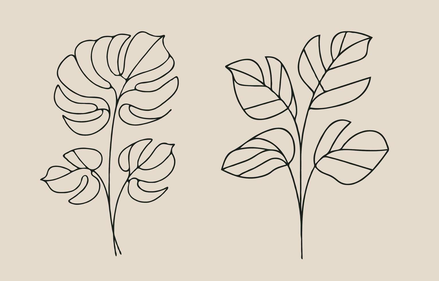 Two plants with leaves in a line drawing vector