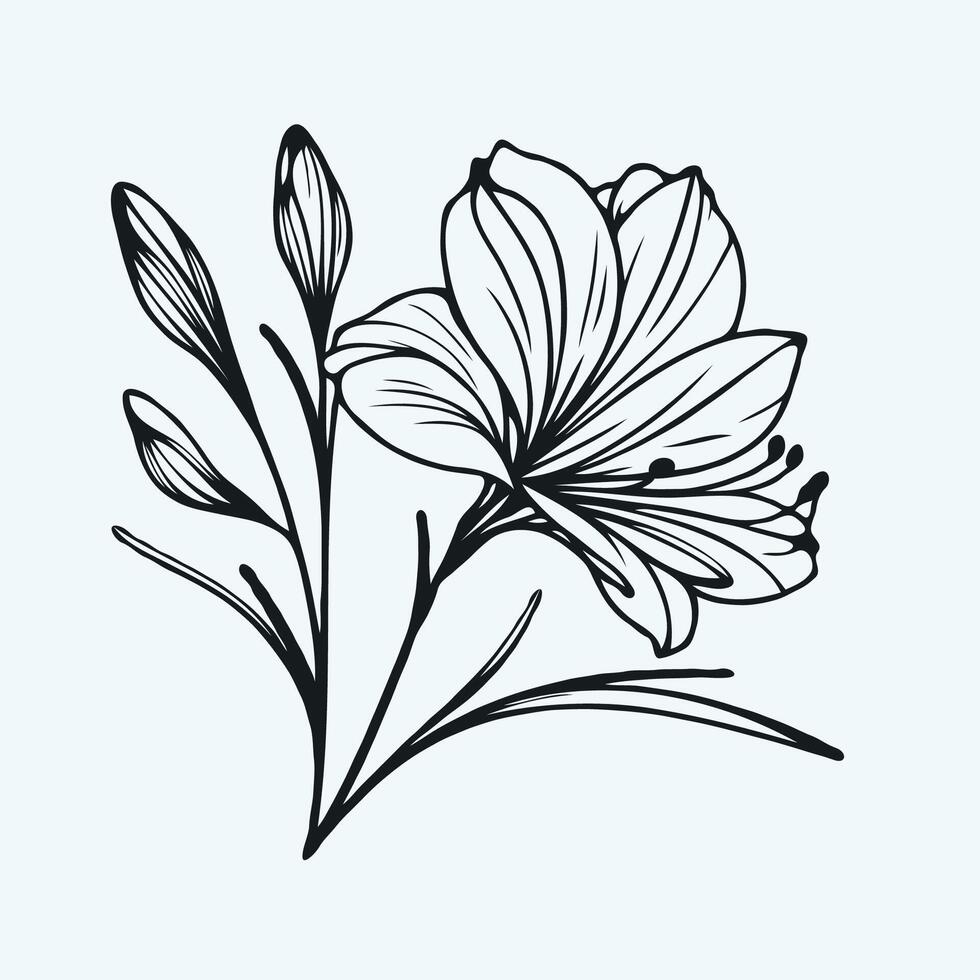 A black and white drawing of a flower, floral line vector