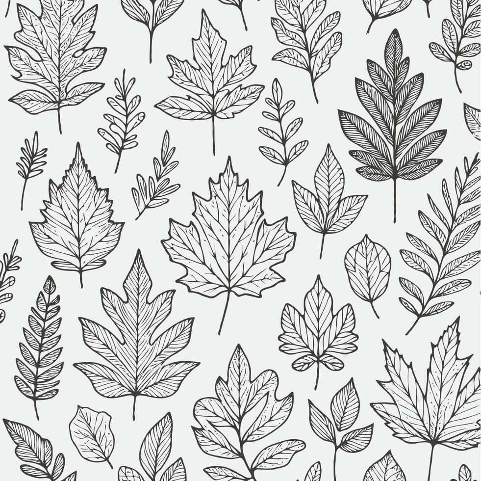 A black and white drawing of leaves vector