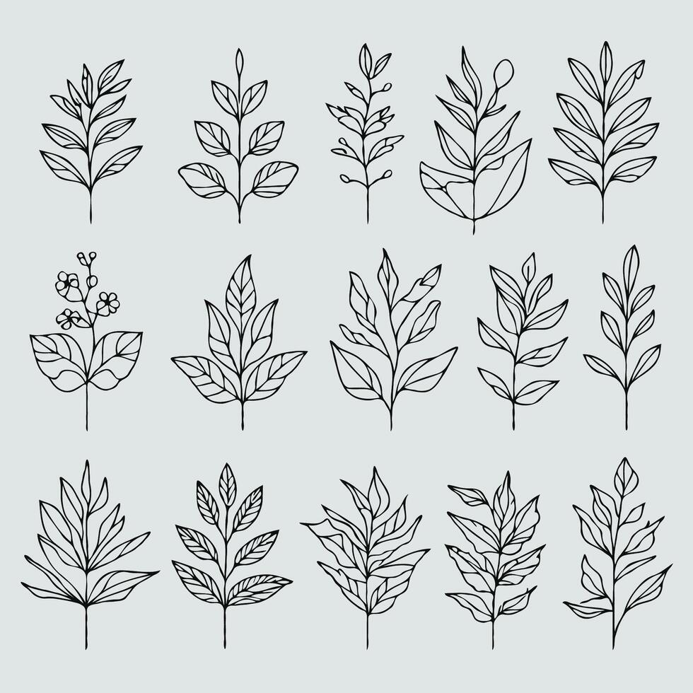 A set of hand drawn leaves and flowers vector