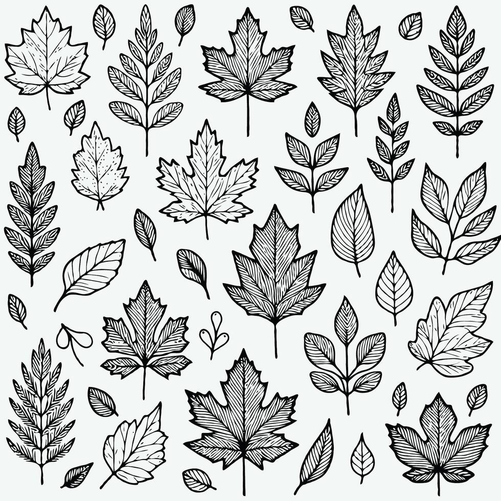 Autumn leaves set vector