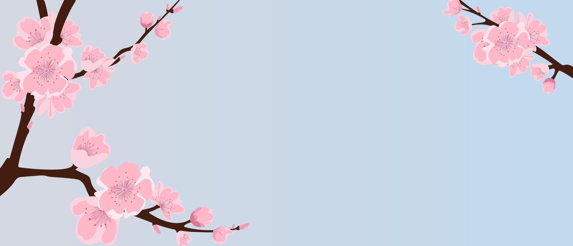 Background with sakura branches. Delicate sakura on a pink and blue background. vector