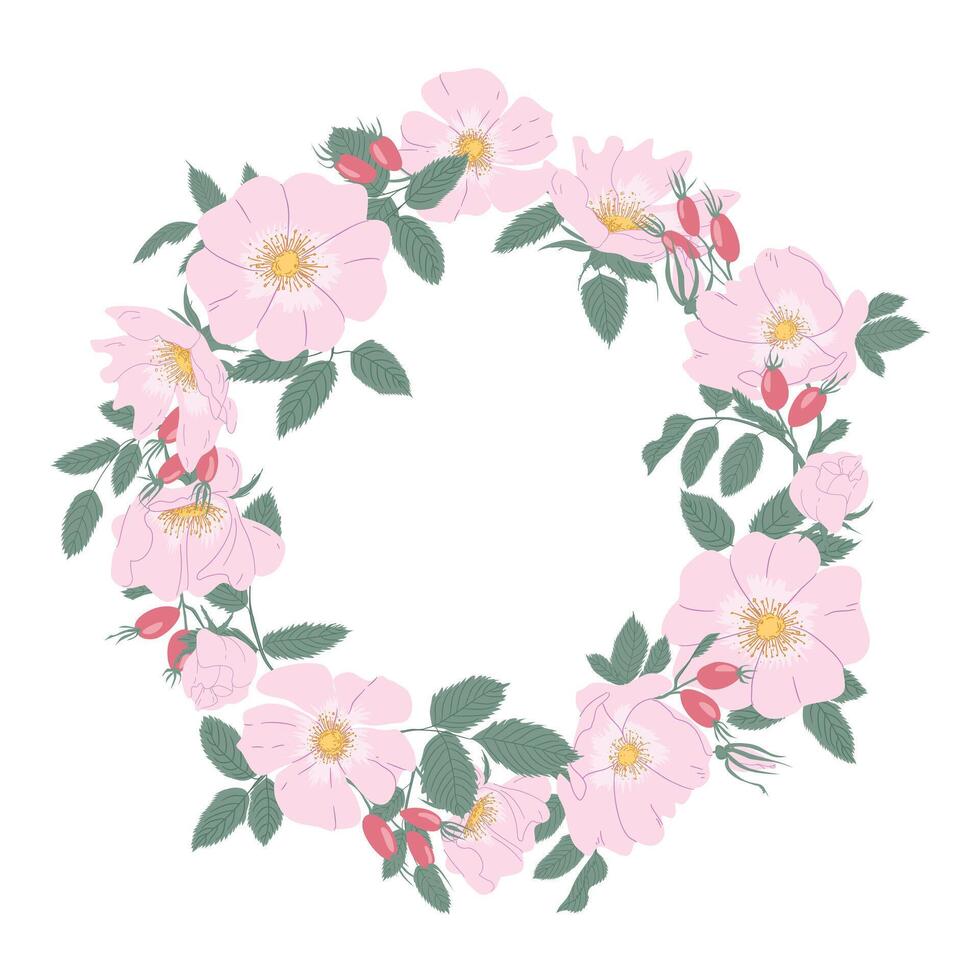 Wreath of rosehip flowers. A frame of roses. Pink flowers in a circle. For invitations, posters, postcards, packaging vector