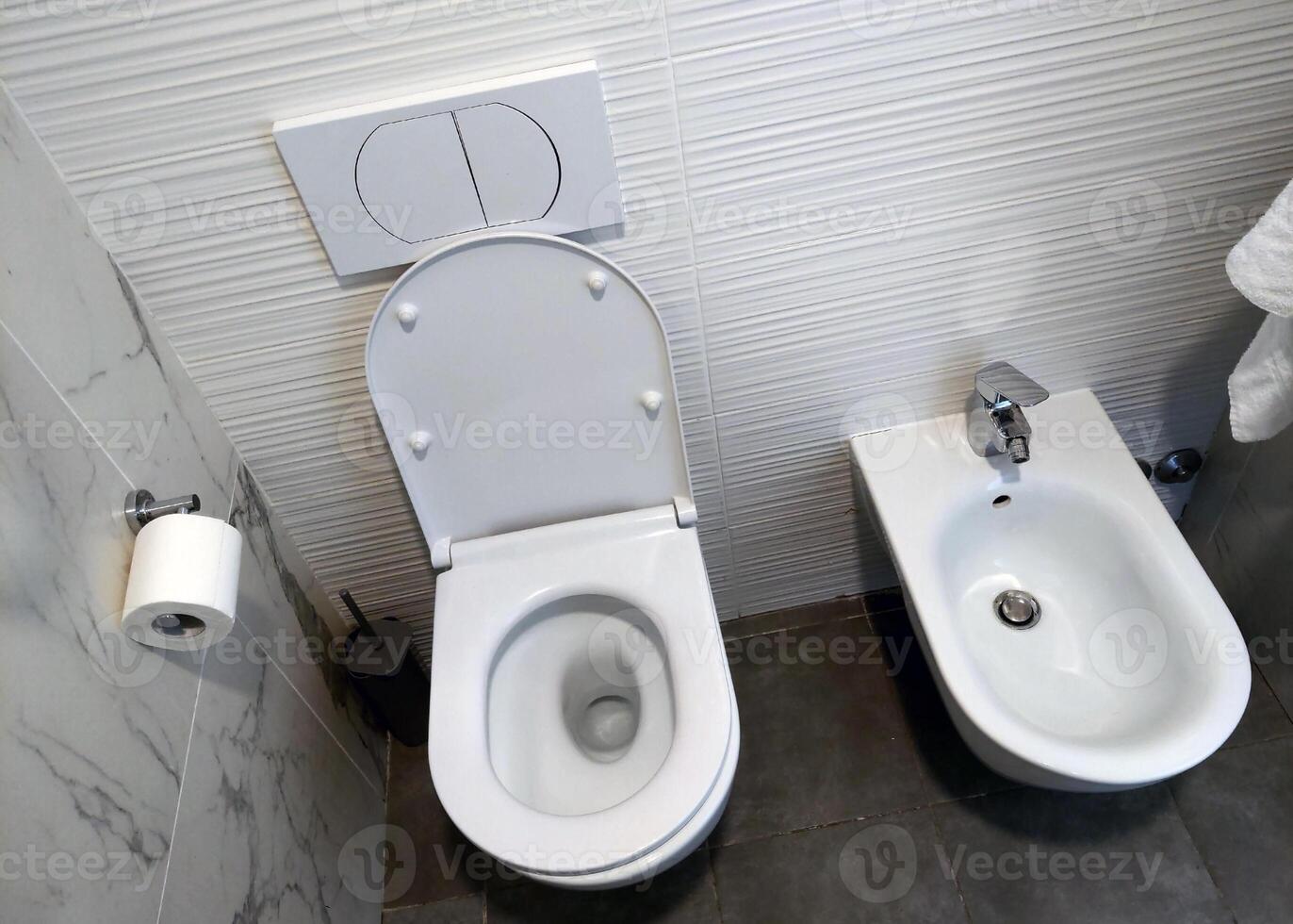Modern Bathroom Essentials Bidet and Toilet Duo in Contemporary Tile Design photo