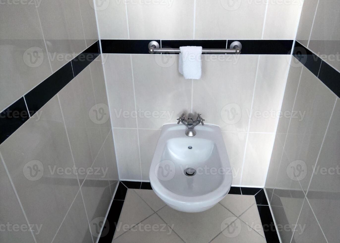 Modern Bathroom Amenities Featuring Wall-Mounted Bidet with Elegant Tile Design photo