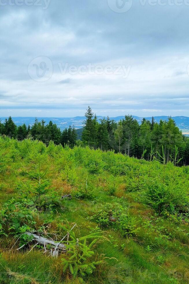 Idyllic View of Lush Green Forest and Rolling Hills Under Cloudy Skies photo