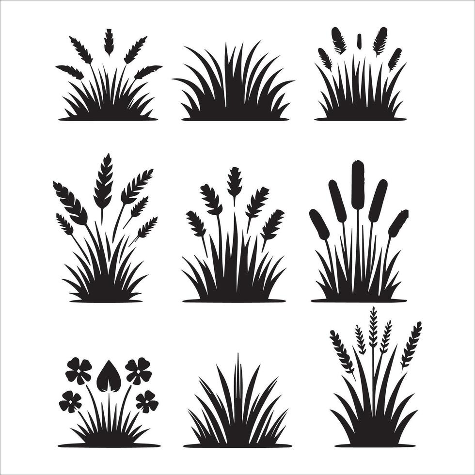 Simple Black and White Frames for Landscape Scenes vector