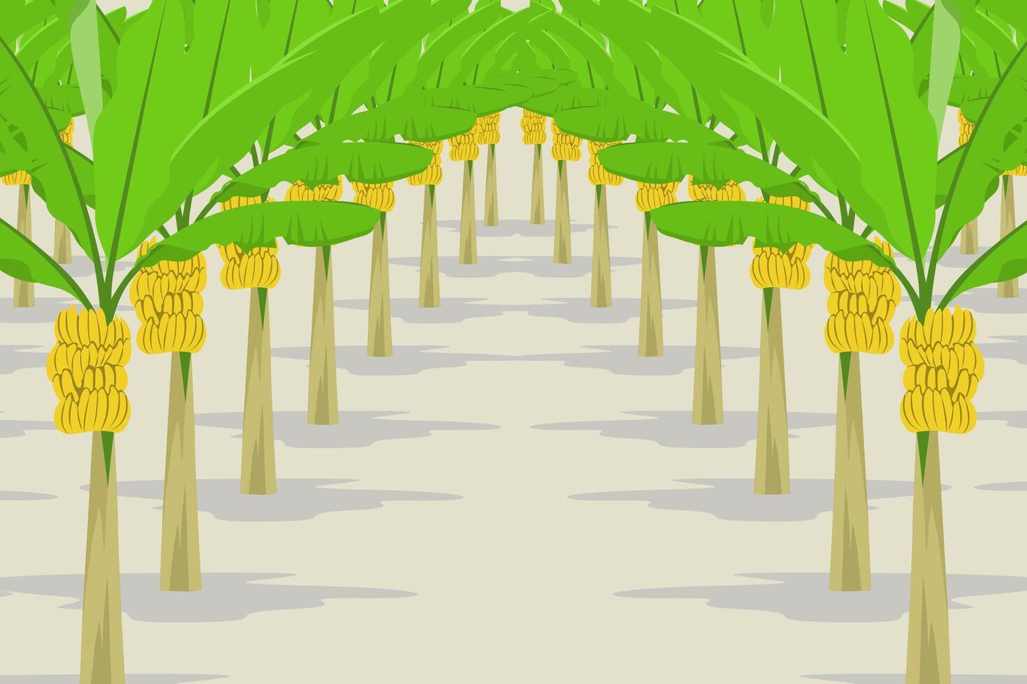 banana farming cartoon with green leaves and yellow fruits vector
