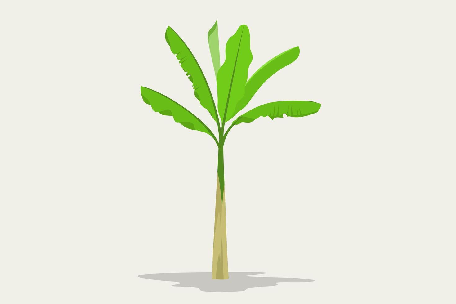 banana farming cartoon with green leaves vector