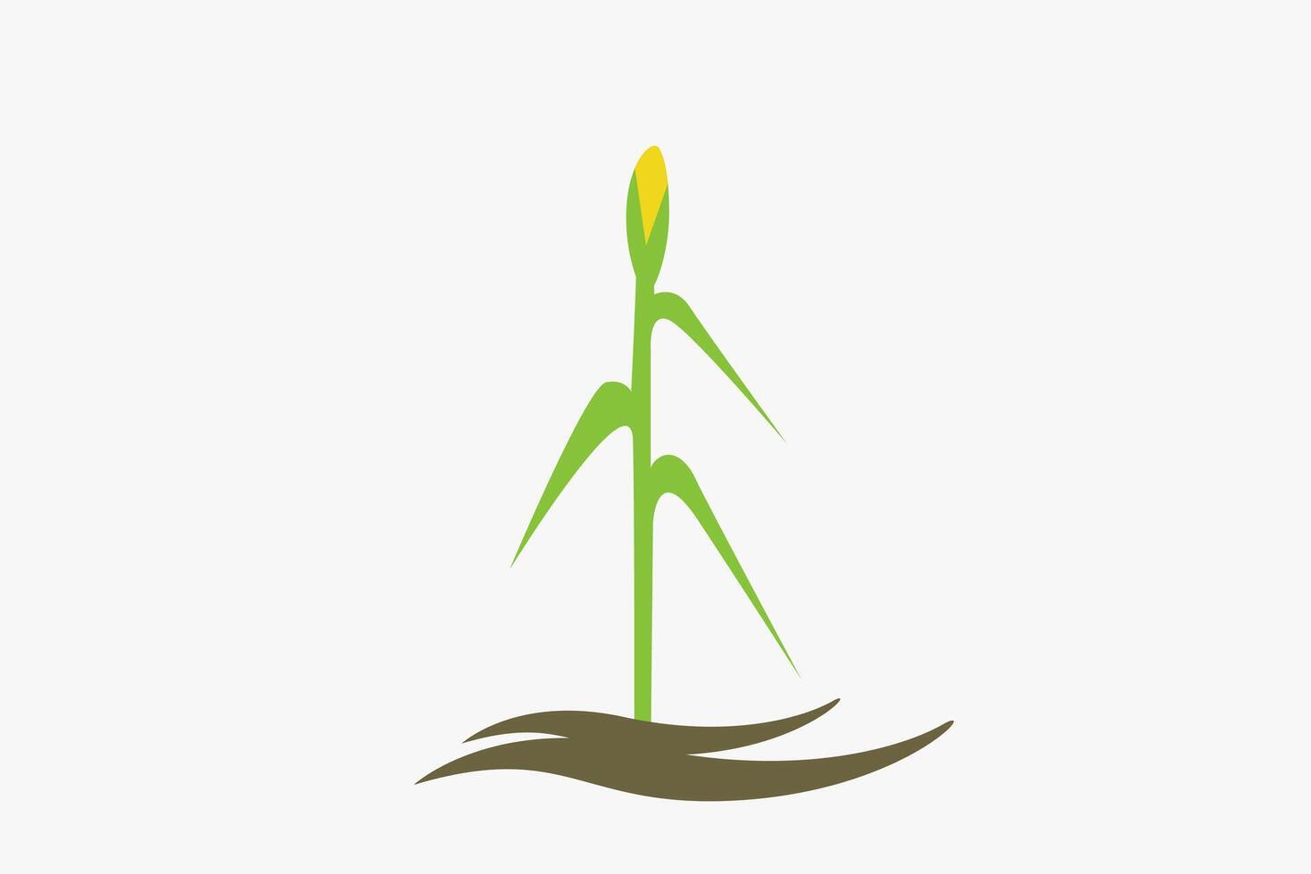 Corn plant simple logo or symbol vector