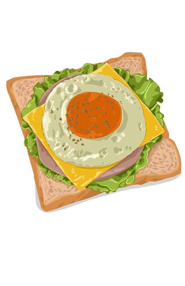 Sandwich Illustration on white with egg on top vector