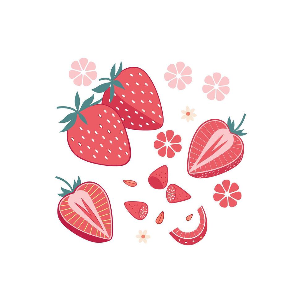 Strawberries and flowers are shown in this illustration vector