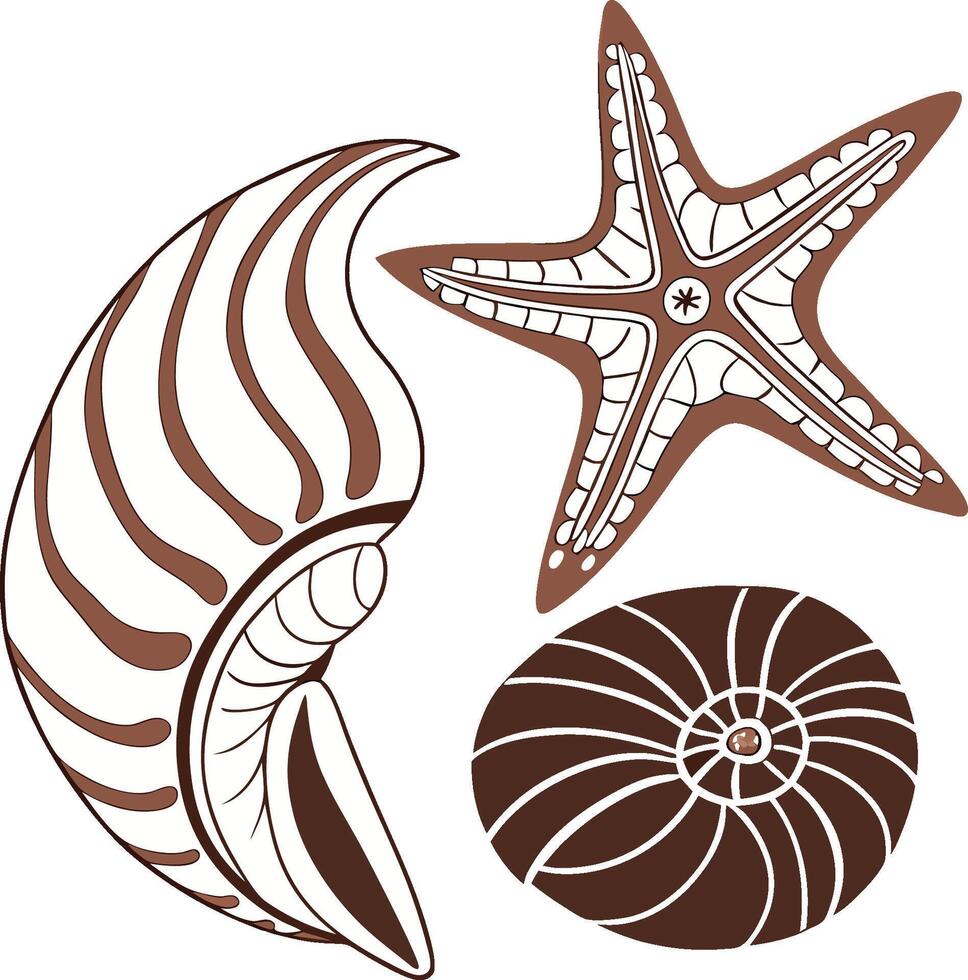 Sea shells and starfish vector