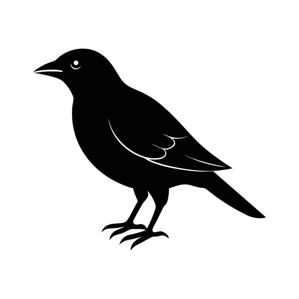 Bird Silhouette Set Against Contrasting Black and White vector