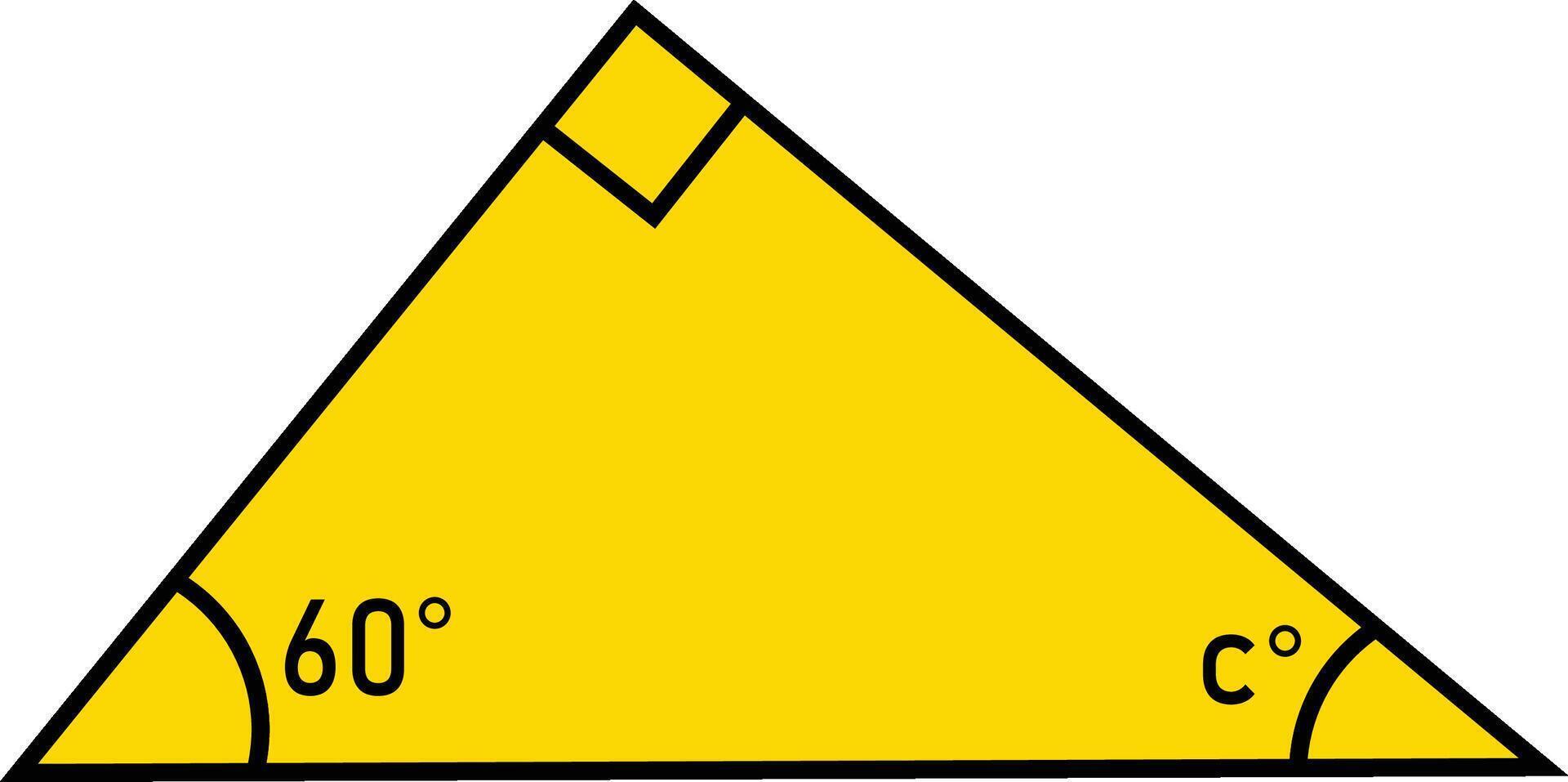 Right Triangle Interior Angle Measurement vector