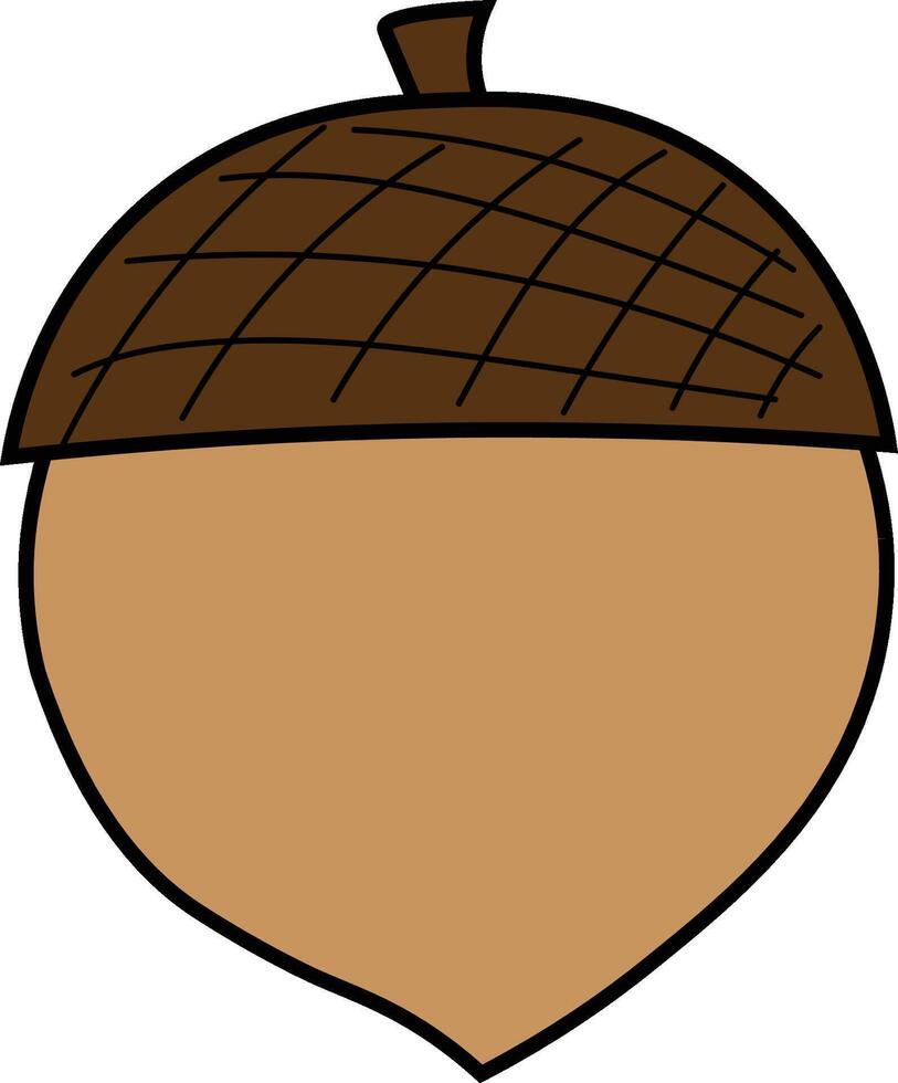 Nut Thanksgiving Illustration vector