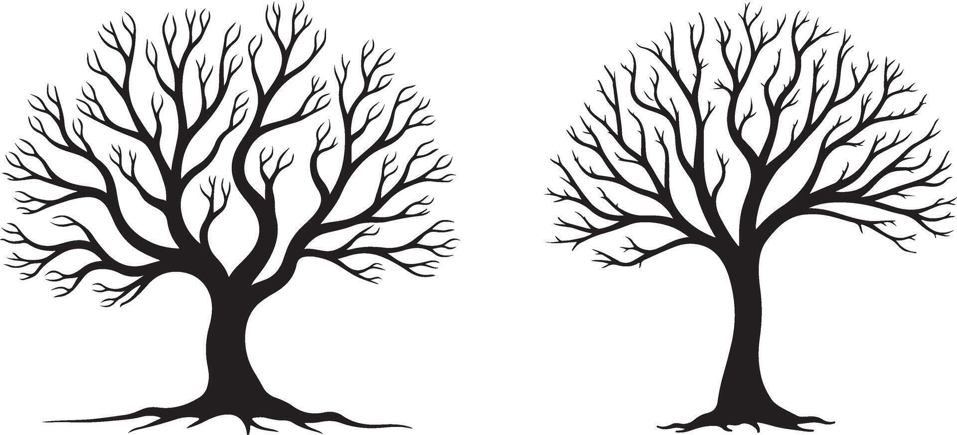 Sleek birch tree line art illustration with minimalist details vector
