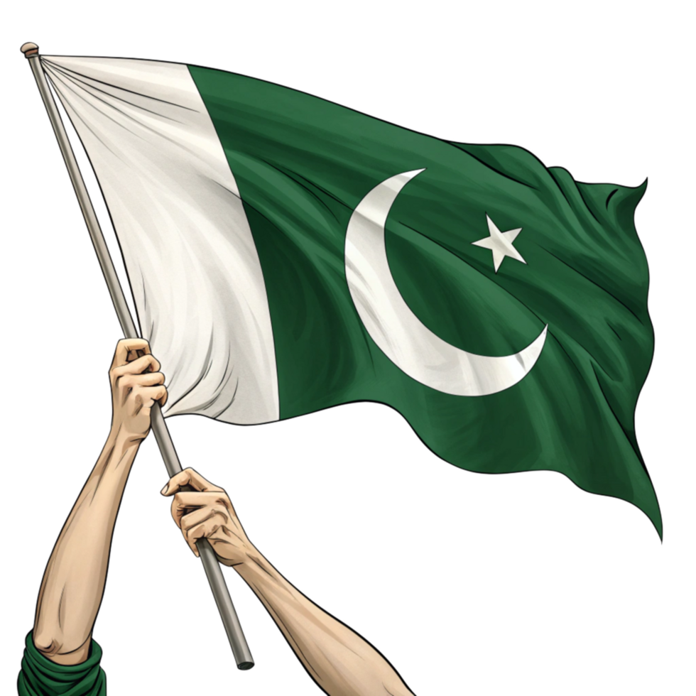 Hand Holding Pakistani Flag isolated on Transparent Background png