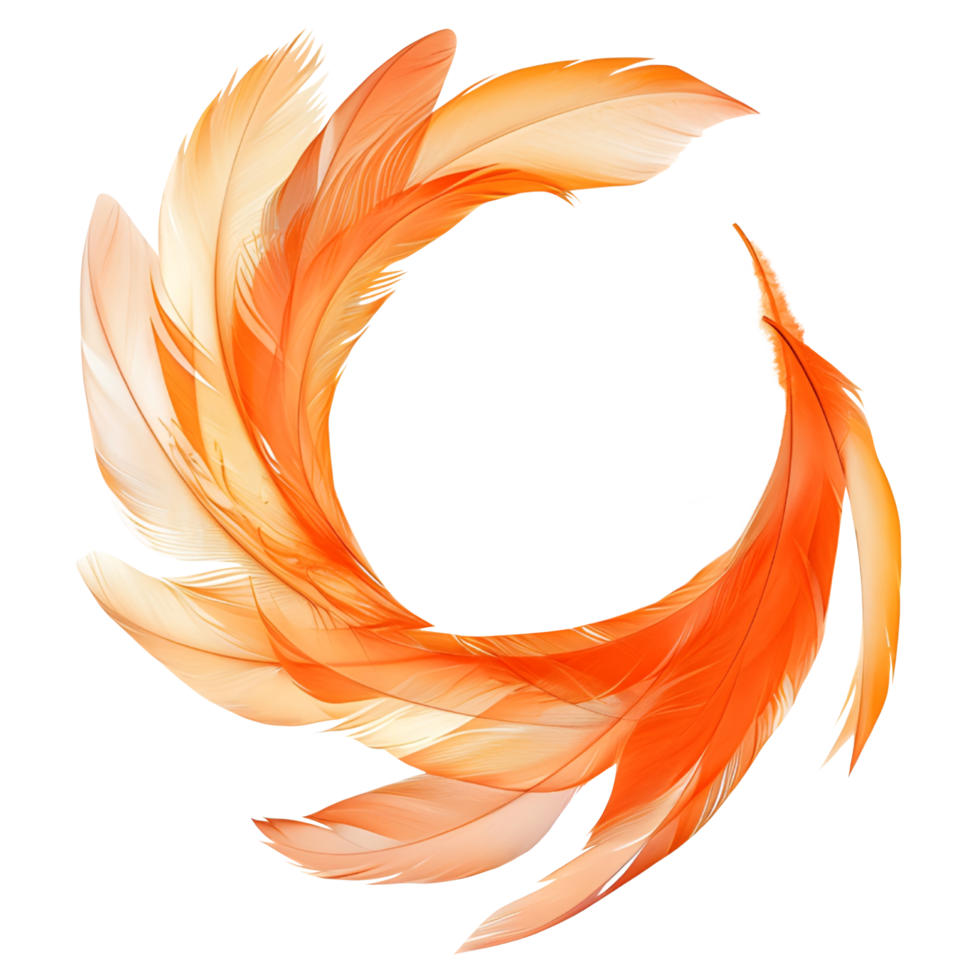 Orange feather frame png