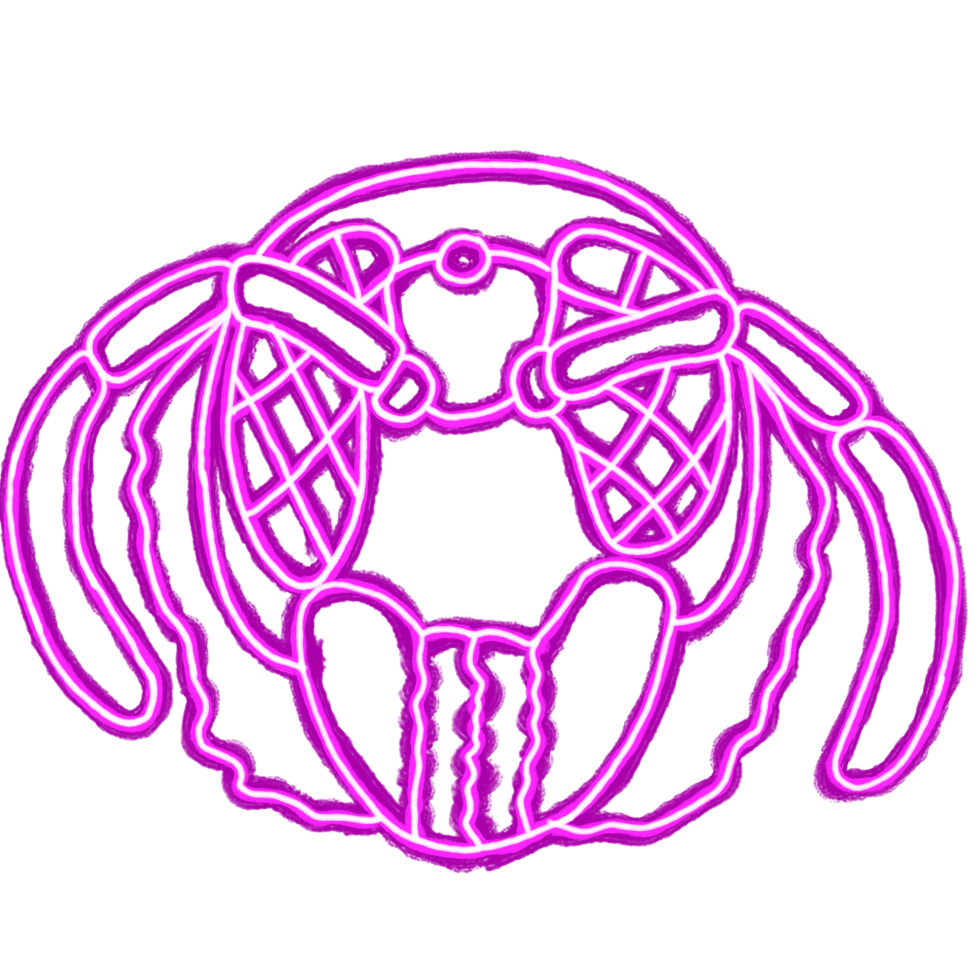 Line art of neon lights of a close up Wasp head png