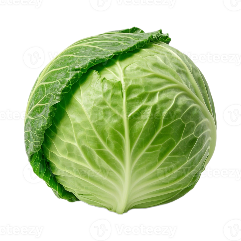 Fresh Head Of Cabbage Isolated On Transparent Background png