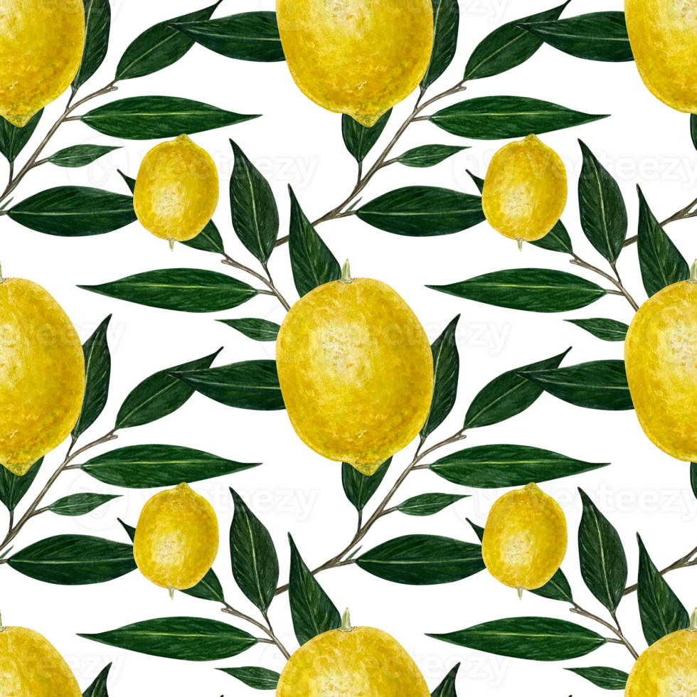 Lemon watercolor pattern with leaves, yellow slice of lemon on a seamless background png