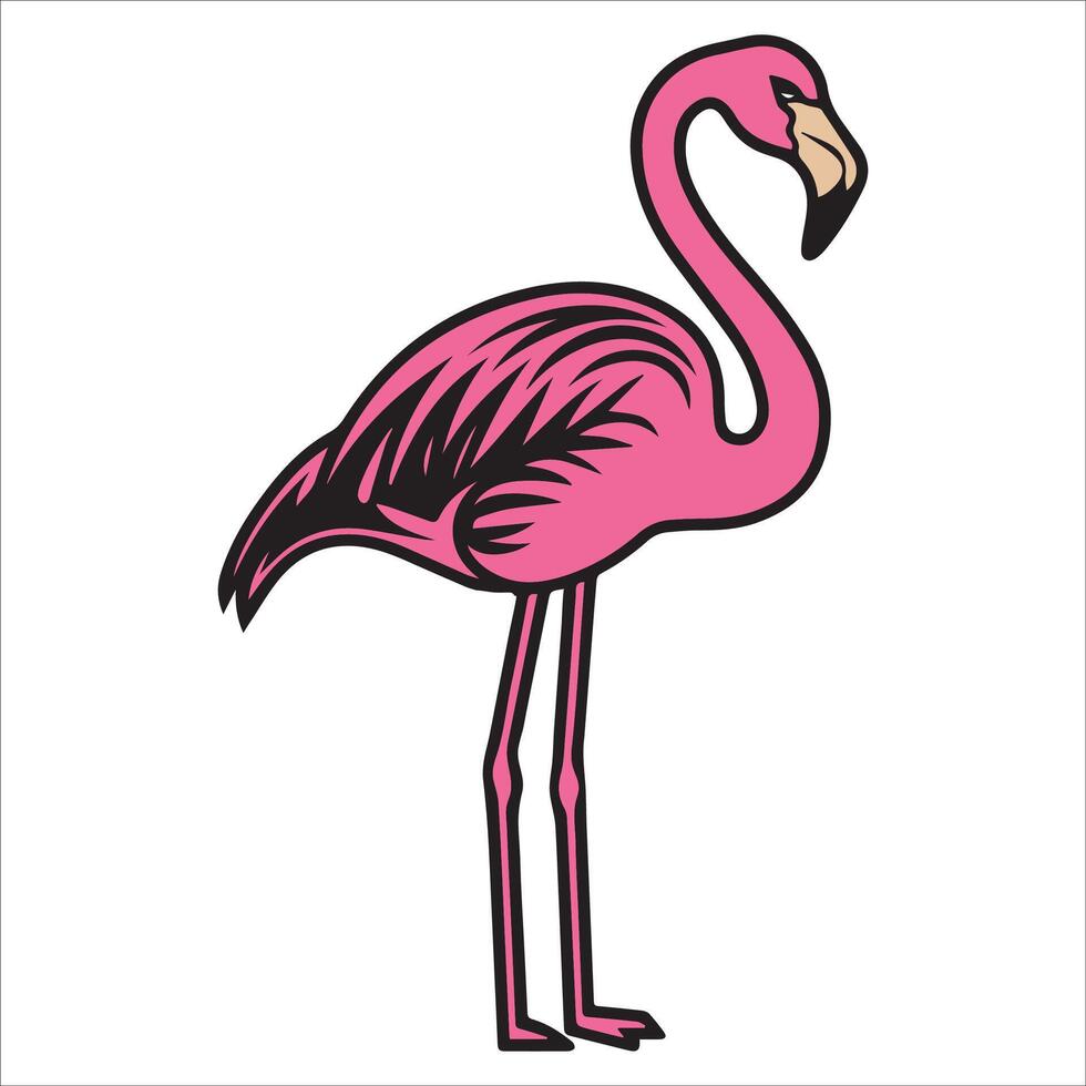 Tropical Pink Flamingo Illustration Design vector
