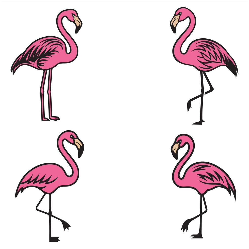 Vibrant Flamingo in Tropical Setting vector