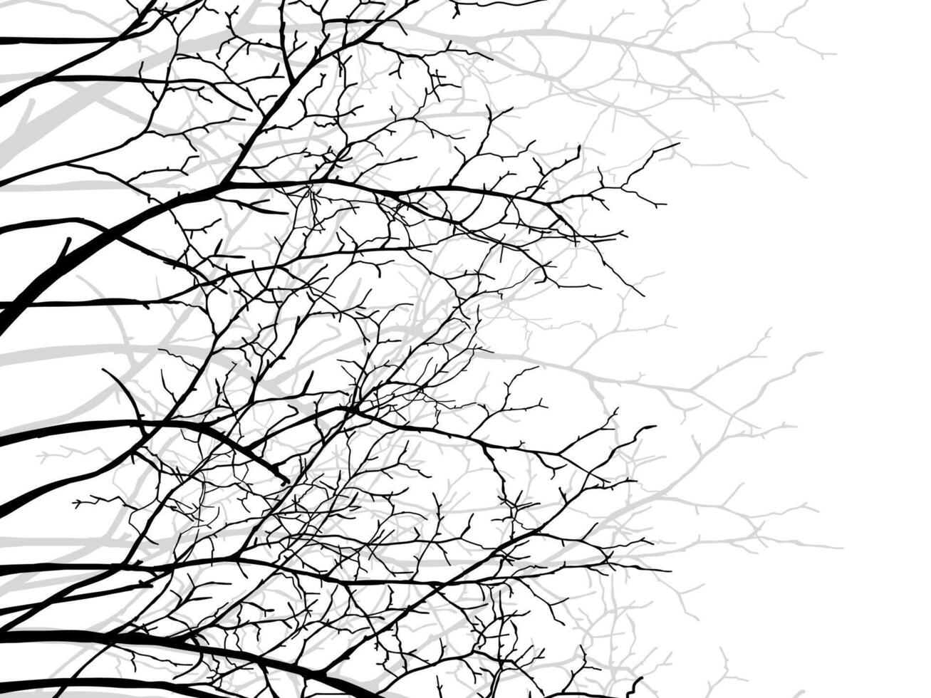 Black Branch Tree or Naked trees silhouettes set. vector