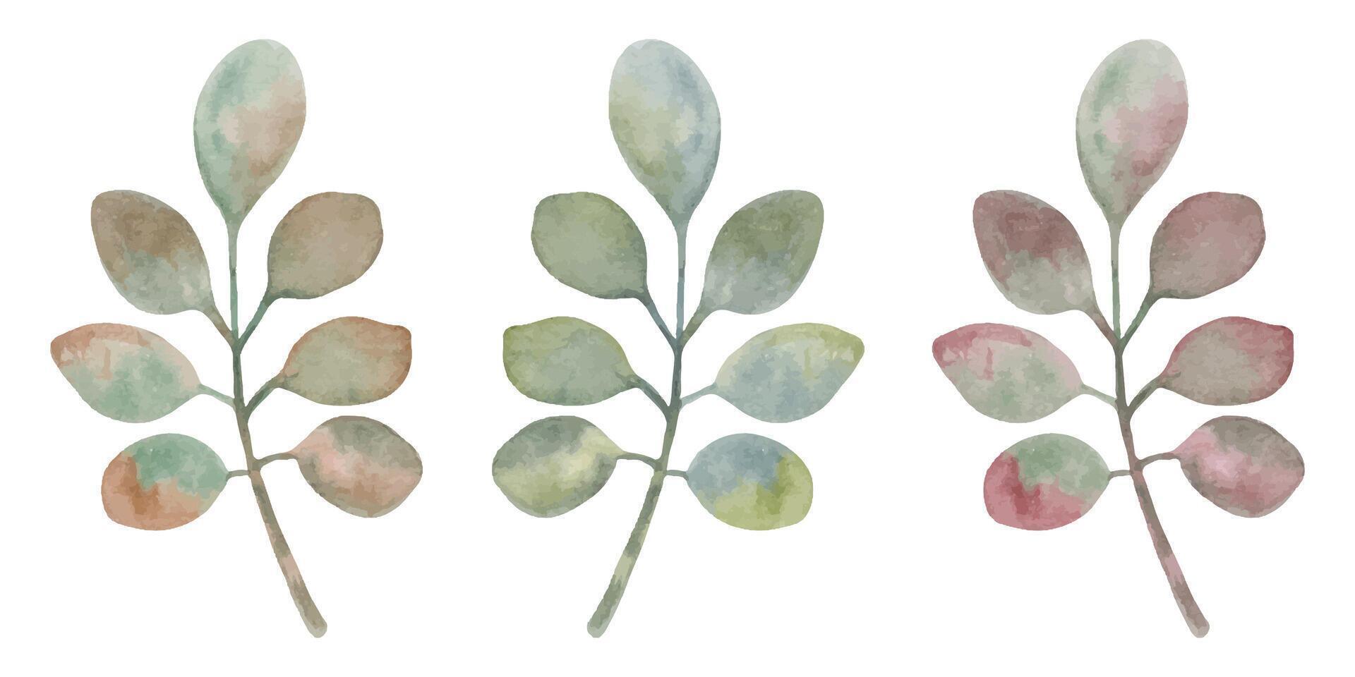 Set of branches with leaves. Watercolor illustration. Botanical autumn clipart. Hand drawn isolated art. Flower and plant herbarium. Sketch for seasonal holidays, cards. Thanksgiving, Halloween vector