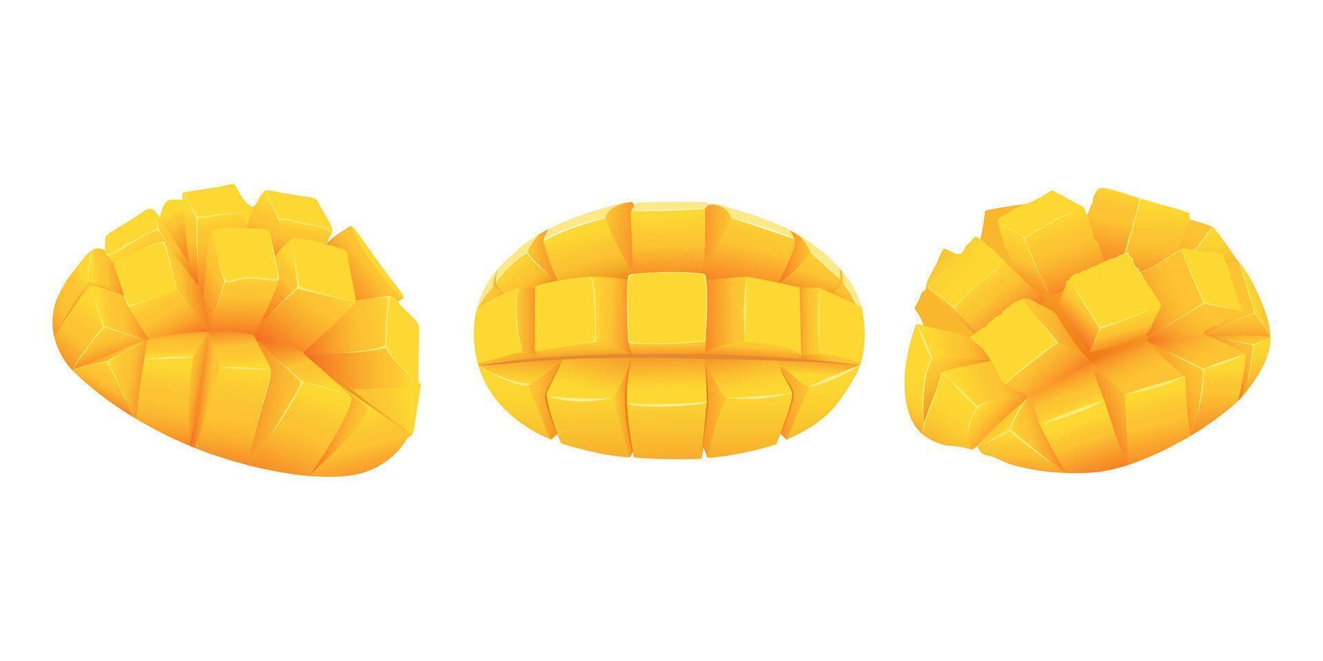 Set with cube sliced mango on skin. Diced mango on skin. vector