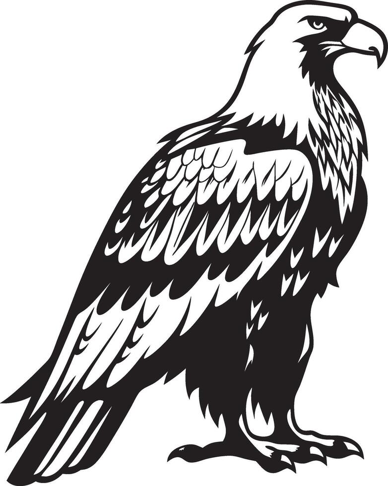 Silhouette of a Watchful Perched Eagle vector